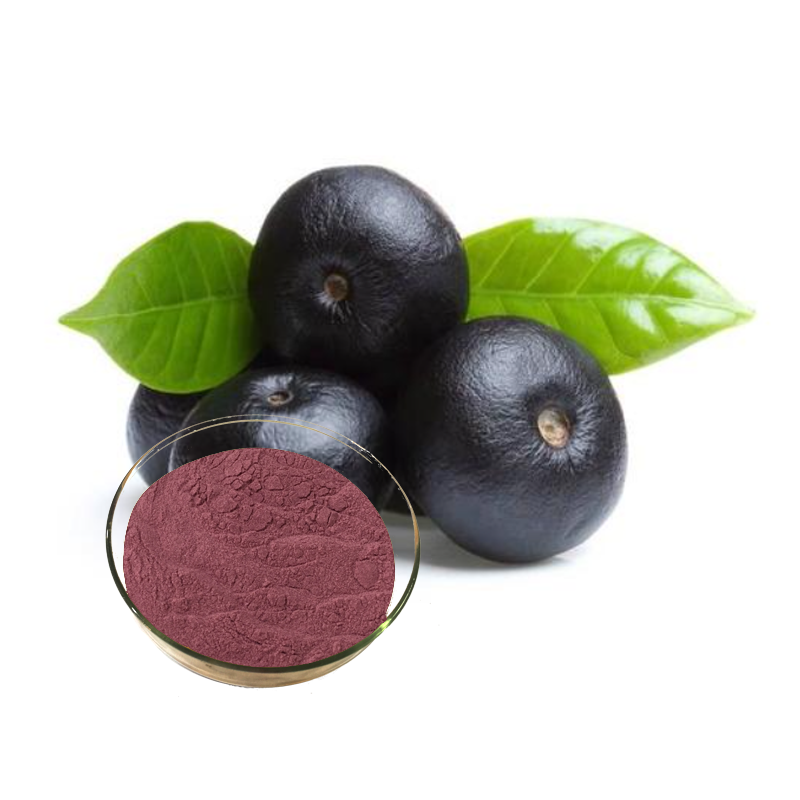 Acai berry özü tozu