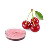 Acerola (Malpighia Glabra) %25 C Vitamini İçerisinde Standardize Edilmiştir